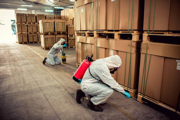 Best Emergency Pest Control  in De Smet, SD