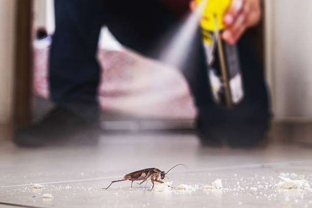 Best Exterminator Services  in De Smet, SD